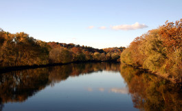 The lake is close by.