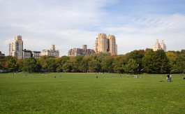 View to Central Park