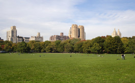Close to Central Park.
