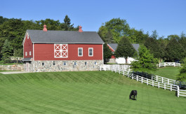 Horse farm
