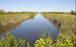 Oversized Canal Front Lot in Rotonda Villas